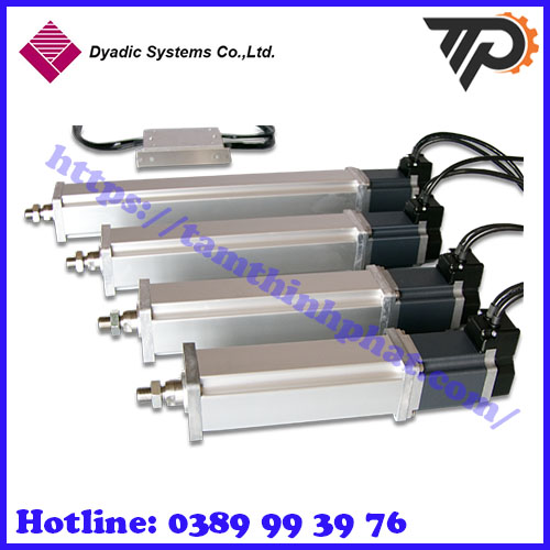 Dyadic tại Việt Nam