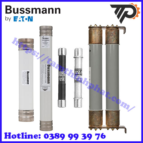Bussmann tại Việt Nam
