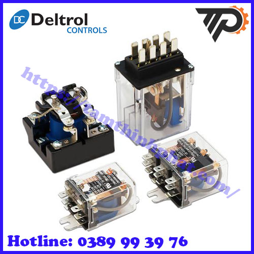 Deltrol Controls tại Việt Nam