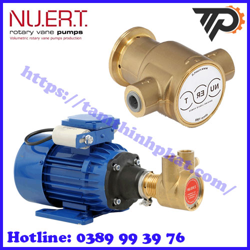NUERT tại Việt Nam