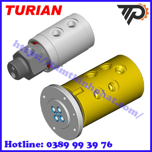 Turian tại Việt Nam